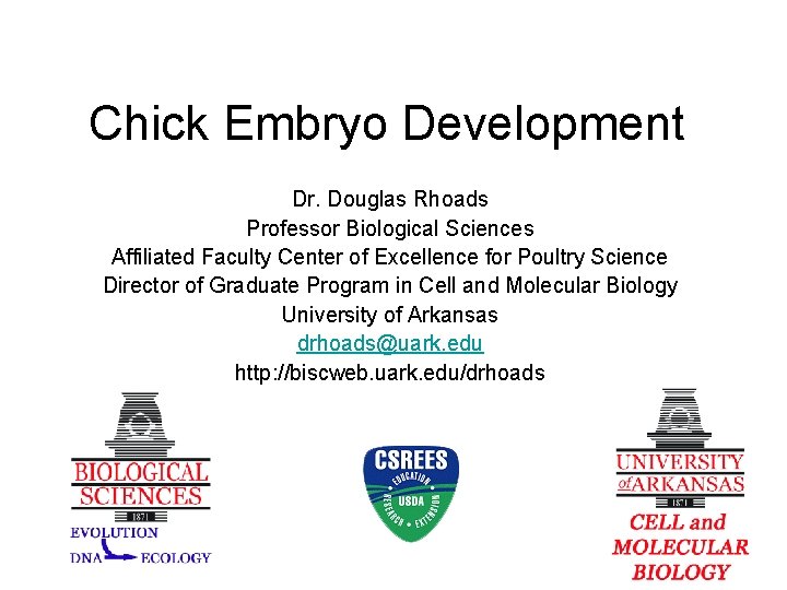 Chick Embryo Development Dr. Douglas Rhoads Professor Biological Sciences Affiliated Faculty Center of Excellence