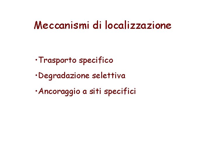 Meccanismi di localizzazione • Trasporto specifico • Degradazione selettiva • Ancoraggio a siti specifici