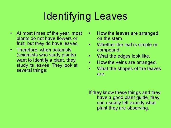 Identifying Leaves • At most times of the year, most plants do not have