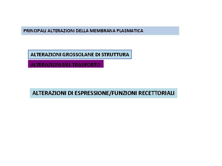 PRINCIPALI ALTERAZIONI DELLA MEMBRANA PLASMATICA ALTERAZIONI GROSSOLANE DI STRUTTURA ALTERAZIONI DEL TRASPORTO ALTERAZIONI DI