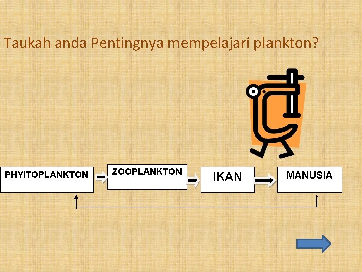 Taukah anda Pentingnya mempelajari plankton? PHYITOPLANKTON ZOOPLANKTON IKAN MANUSIA 