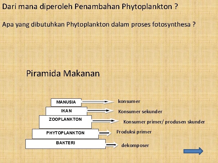 Dari mana diperoleh Penambahan Phytoplankton ? Apa yang dibutuhkan Phytoplankton dalam proses fotosynthesa ?