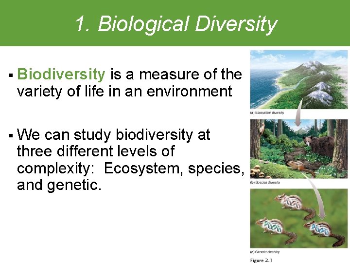 1. Biological Diversity § Biodiversity is a measure of the variety of life in