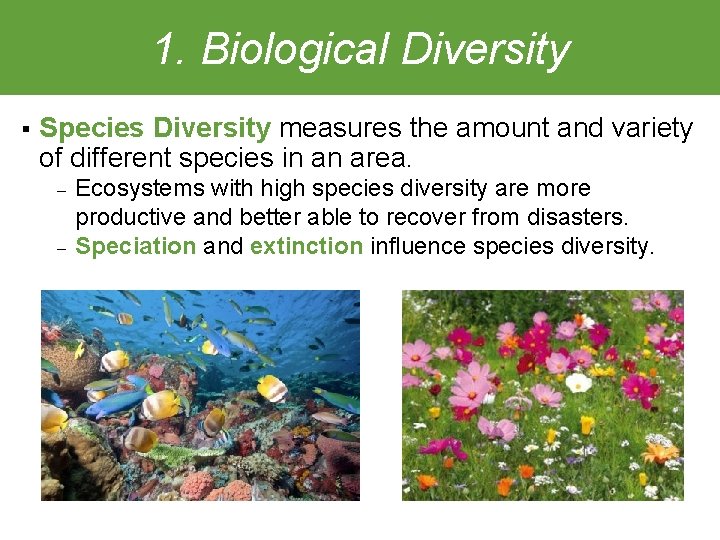 1. Biological Diversity § Species Diversity measures the amount and variety of different species