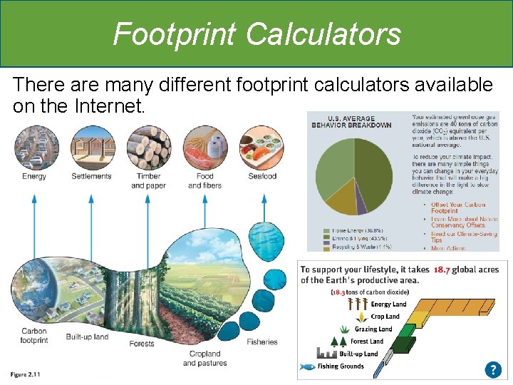 Footprint Calculators There are many different footprint calculators available on the Internet. 