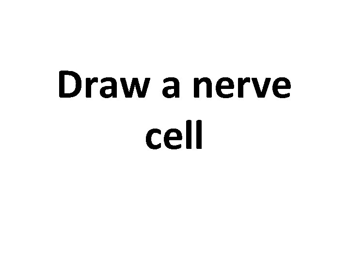 Draw a nerve cell 