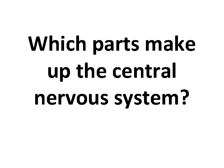 Which parts make up the central nervous system? 