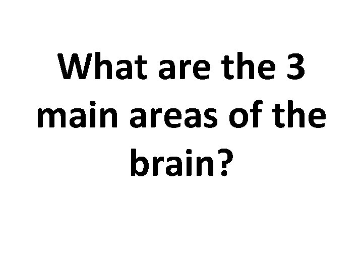 What are the 3 main areas of the brain? 