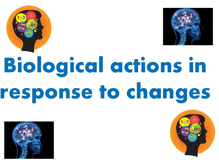 Biological actions in response to changes 