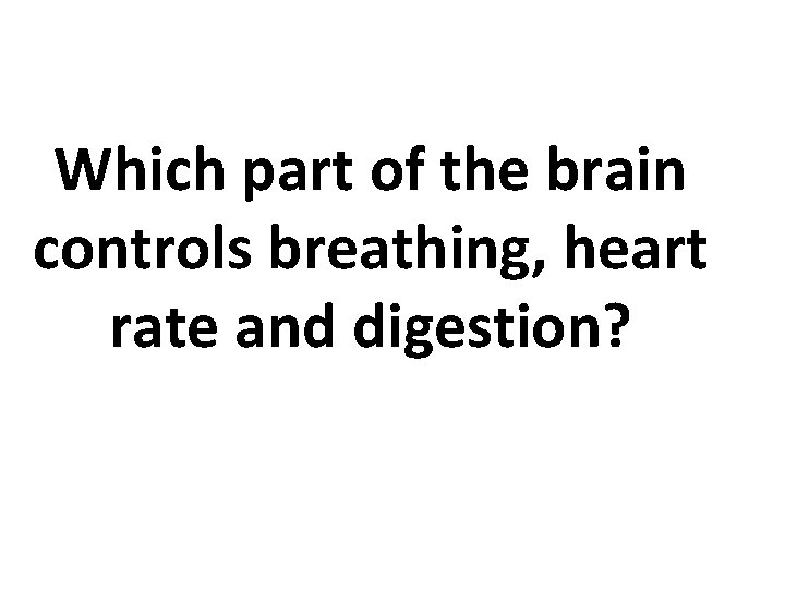 Which part of the brain controls breathing, heart rate and digestion? 