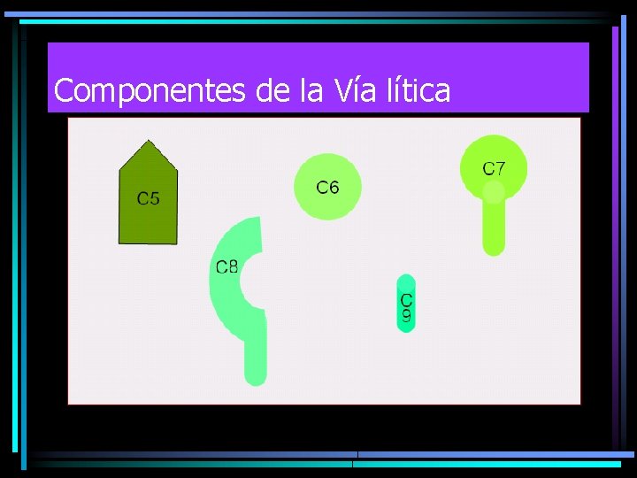Componentes de la Vía lítica Componentes de la Vía lítica