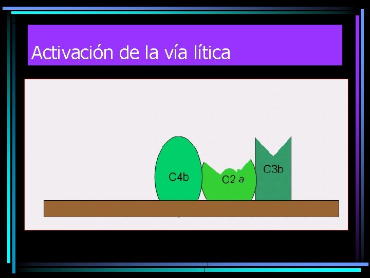 Activación de la vía lítica Activación de la vía lítica