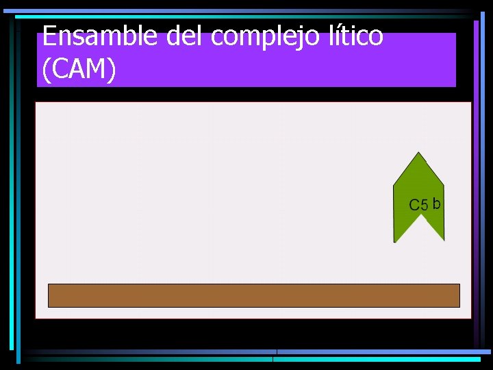 Ensamble del complejo lítico (CAM) Ensamble del complejo lítico (CAM)