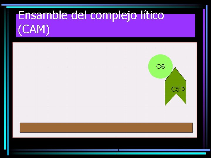 Ensamble del complejo lítico (CAM) Ensamble del complejo lítico (CAM)