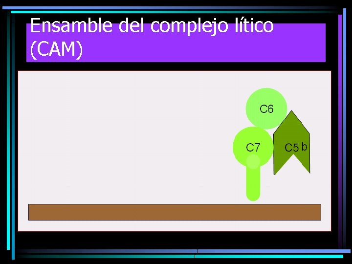 Ensamble del complejo lítico (CAM) Ensamble del complejo lítico (CAM)
