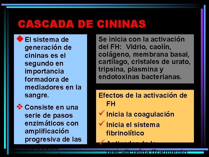 CASCADA DE CININAS u. El sistema de generación de cininas es el segundo en CASCADA DE CININAS u. El sistema de generación de cininas es el segundo en