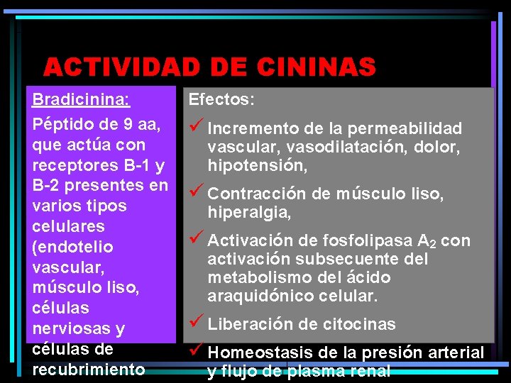 ACTIVIDAD DE CININAS Bradicinina: Péptido de 9 aa, que actúa con receptores B-1 y ACTIVIDAD DE CININAS Bradicinina: Péptido de 9 aa, que actúa con receptores B-1 y
