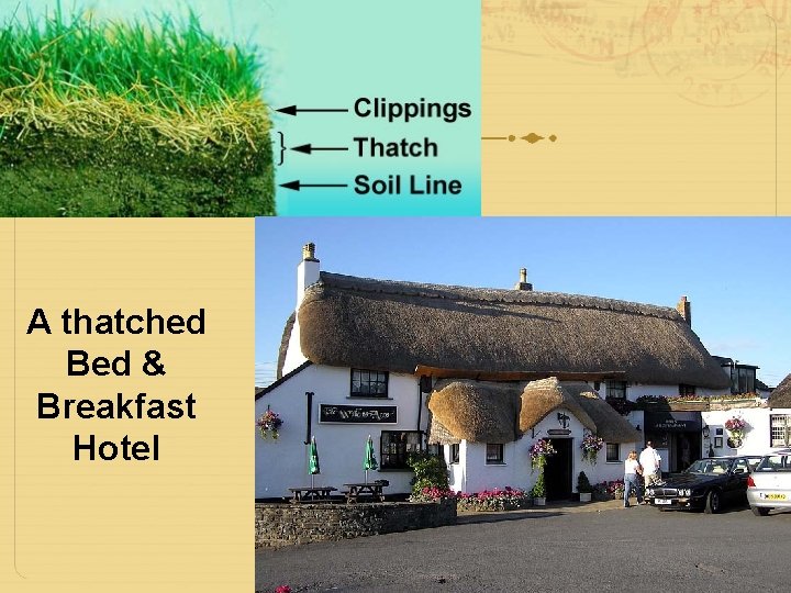 A thatched Bed & Breakfast Hotel 