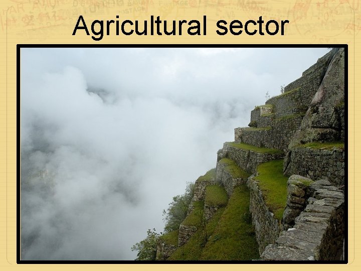 Agricultural sector 