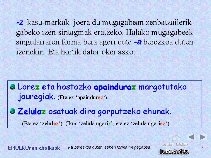 -z kasu-markak joera du mugagabean zenbatzailerik gabeko izen-sintagmak eratzeko. Halako mugagabeek singularraren forma bera