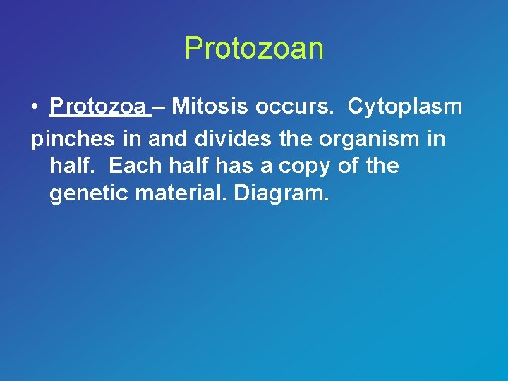 Protozoan • Protozoa – Mitosis occurs. Cytoplasm pinches in and divides the organism in