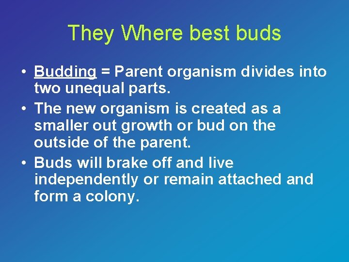 They Where best buds • Budding = Parent organism divides into two unequal parts.