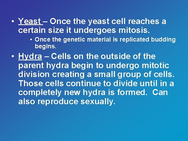  • Yeast – Once the yeast cell reaches a certain size it undergoes