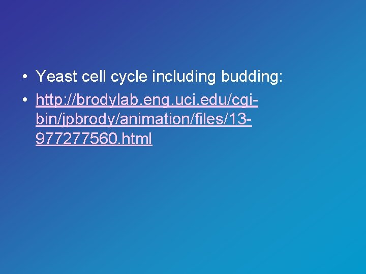  • Yeast cell cycle including budding: • http: //brodylab. eng. uci. edu/cgibin/jpbrody/animation/files/13977277560. html