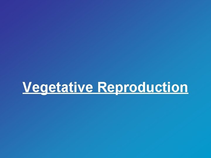 Vegetative Reproduction 