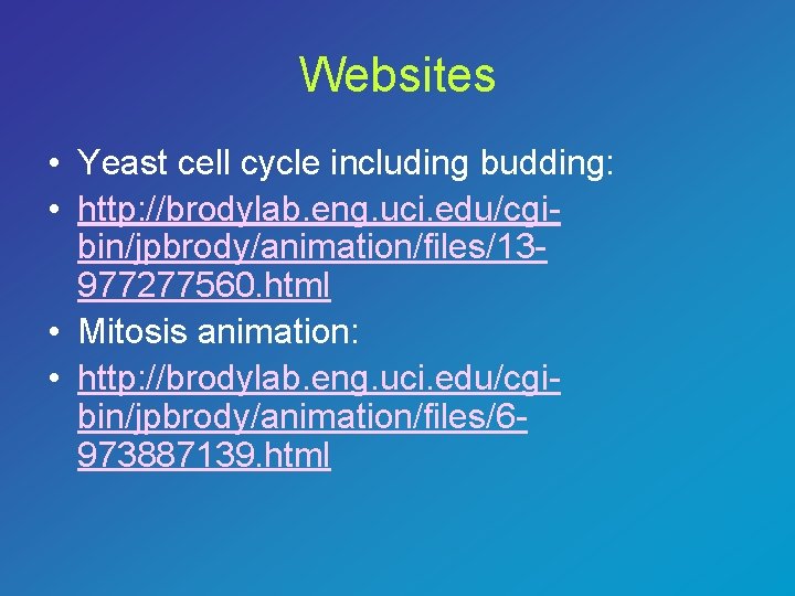 Websites • Yeast cell cycle including budding: • http: //brodylab. eng. uci. edu/cgibin/jpbrody/animation/files/13977277560. html