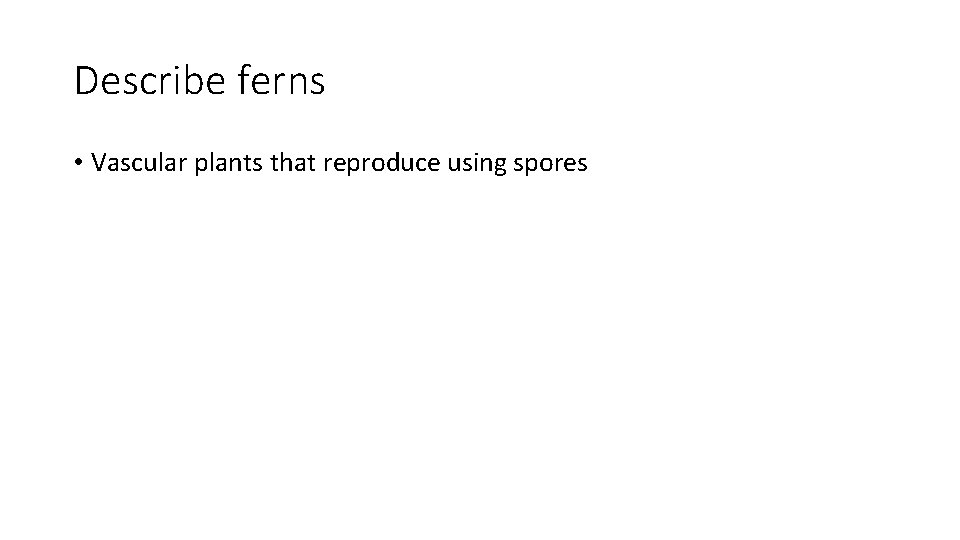 Describe ferns • Vascular plants that reproduce using spores 