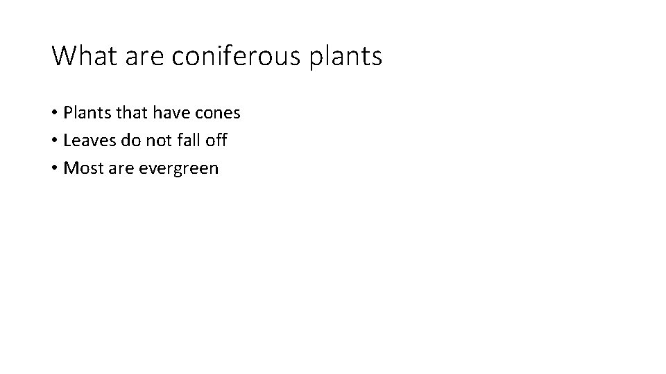 What are coniferous plants • Plants that have cones • Leaves do not fall