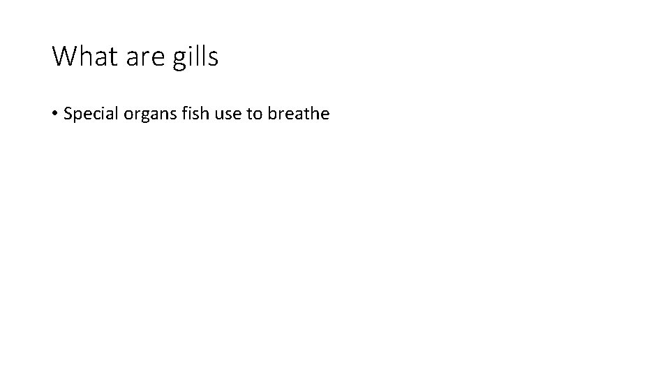 What are gills • Special organs fish use to breathe 