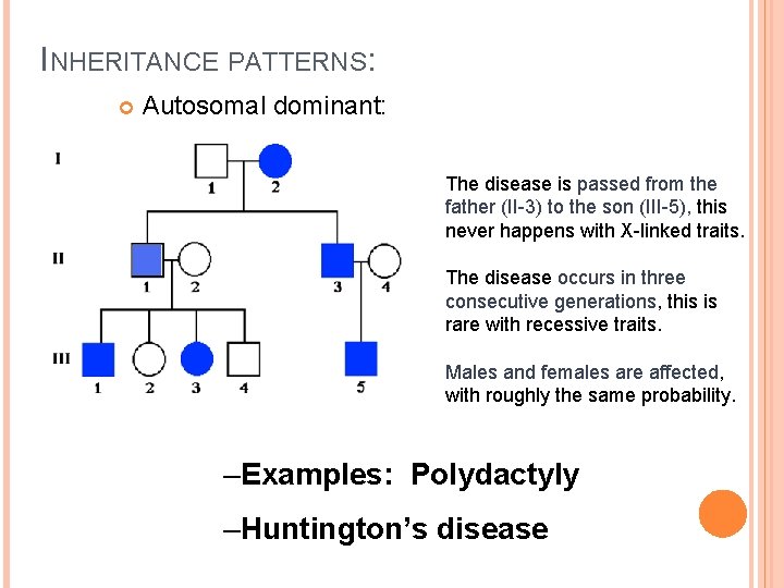 INHERITANCE PATTERNS: Autosomal dominant: The disease is passed from the father (II-3) to the