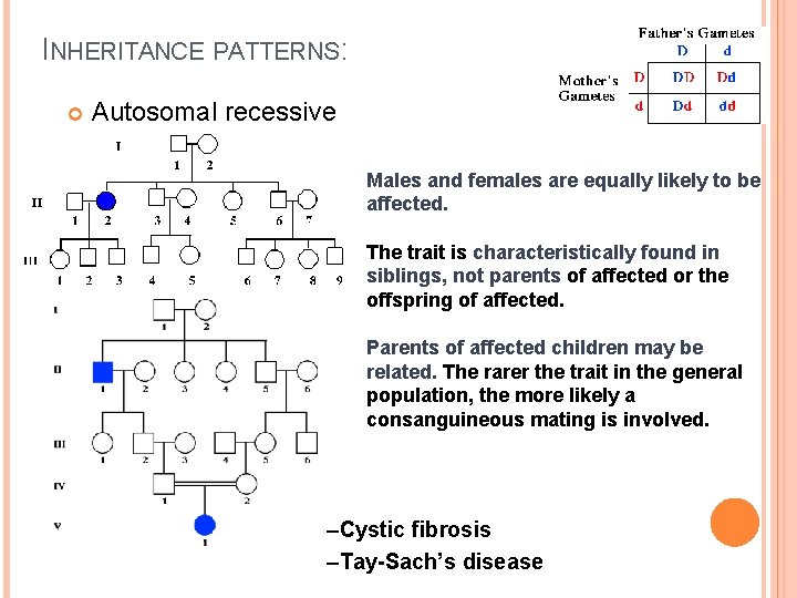 INHERITANCE PATTERNS: Autosomal recessive Males and females are equally likely to be affected. The