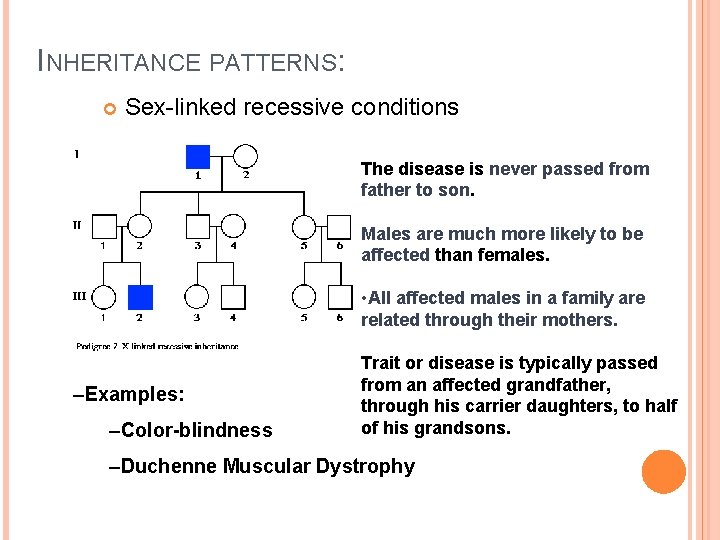 INHERITANCE PATTERNS: Sex-linked recessive conditions The disease is never passed from father to son.