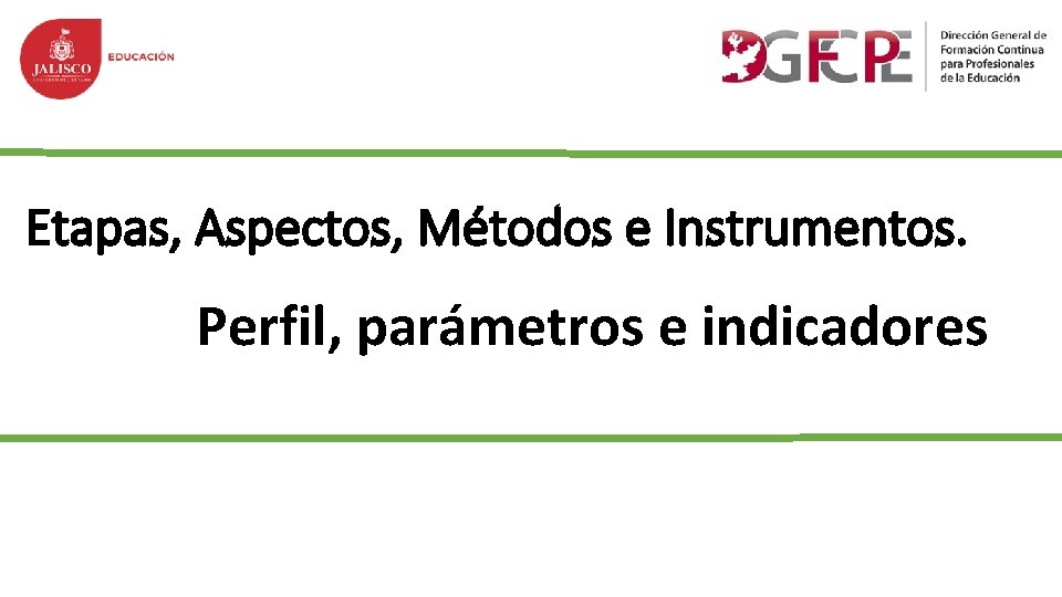 Etapas, Aspectos, Métodos e Instrumentos. Perfil, parámetros e indicadores 