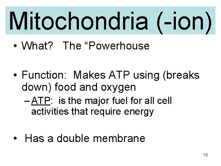 Mitochondria (-ion) • What? The “Powerhouse • Function: Makes ATP using (breaks down) food