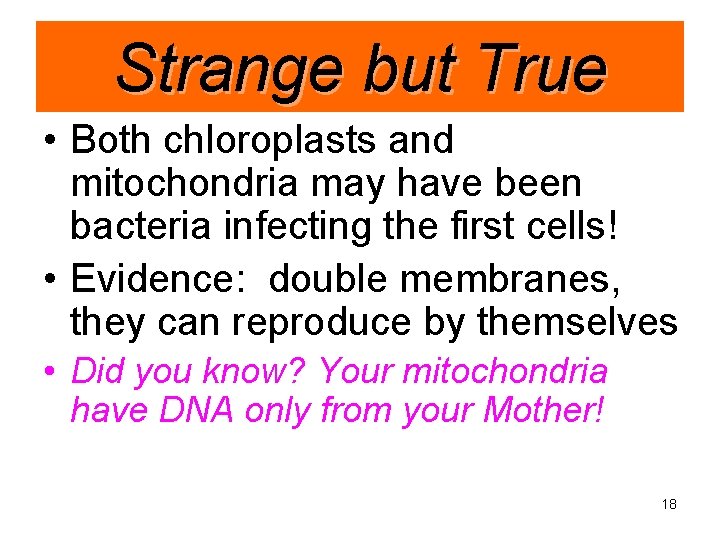 Strange but True • Both chloroplasts and mitochondria may have been bacteria infecting the