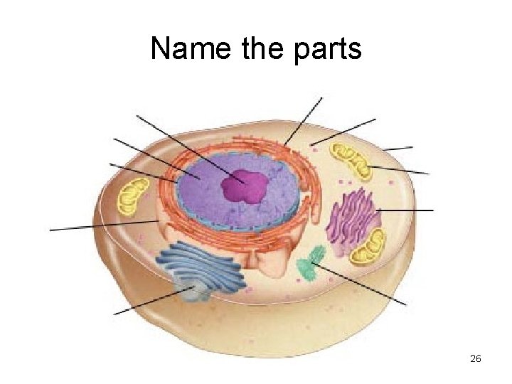 Name the parts 26 