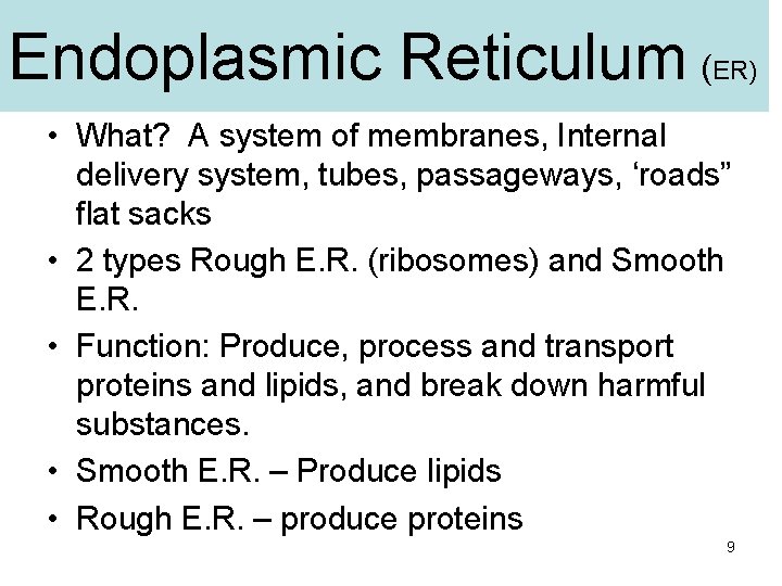 Endoplasmic Reticulum ( ER) • What? A system of membranes, Internal delivery system, tubes,