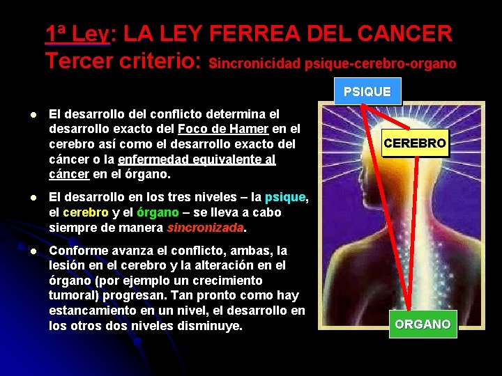 1ª Ley: LA LEY FERREA DEL CANCER Tercer criterio: Sincronicidad psique-cerebro-organo PSIQUE l El