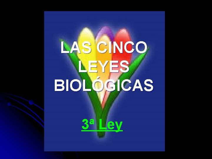 LAS CINCO LEYES BIOLÓGICAS 3ª Ley 