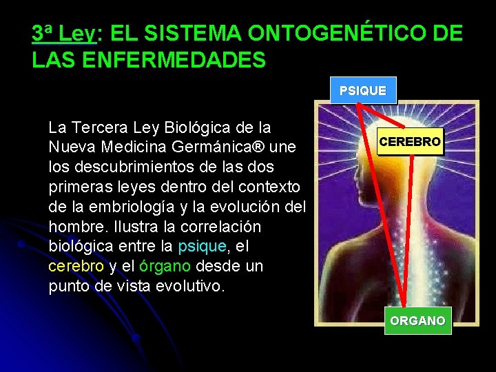 3ª Ley: EL SISTEMA ONTOGENÉTICO DE LAS ENFERMEDADES PSIQUE La Tercera Ley Biológica de