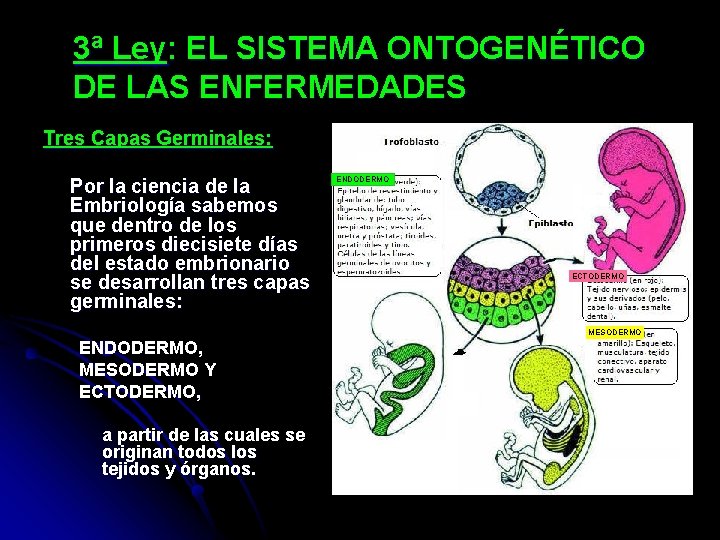 3ª Ley: EL SISTEMA ONTOGENÉTICO DE LAS ENFERMEDADES Tres Capas Germinales: Por la ciencia