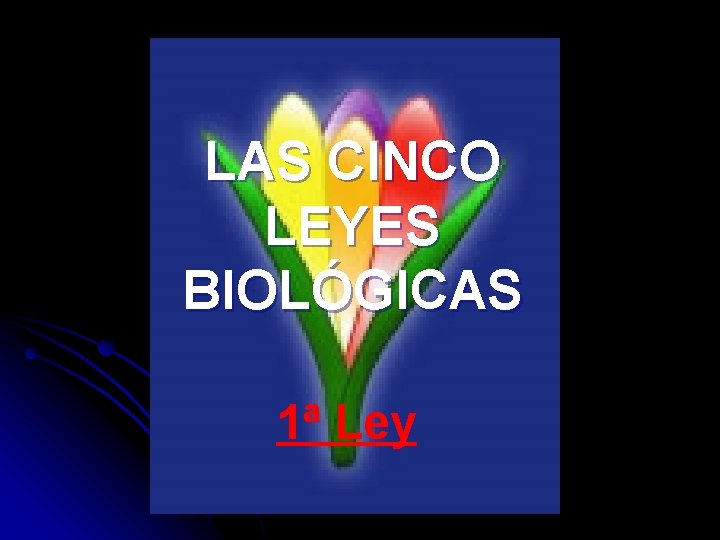 LAS CINCO LEYES BIOLÓGICAS 1ª Ley 