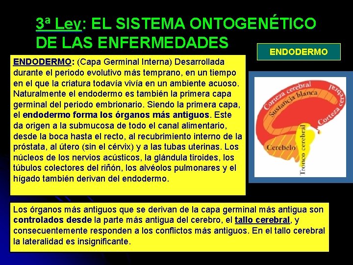 3ª Ley: EL SISTEMA ONTOGENÉTICO DE LAS ENFERMEDADES ENDODERMO: (Capa Germinal Interna) Desarrollada durante