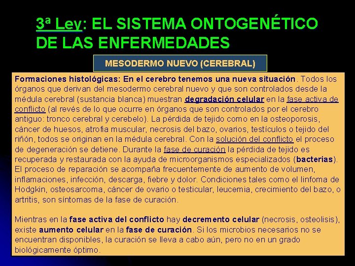 3ª Ley: EL SISTEMA ONTOGENÉTICO DE LAS ENFERMEDADES MESODERMO NUEVO (CEREBRAL) Formaciones histológicas: En