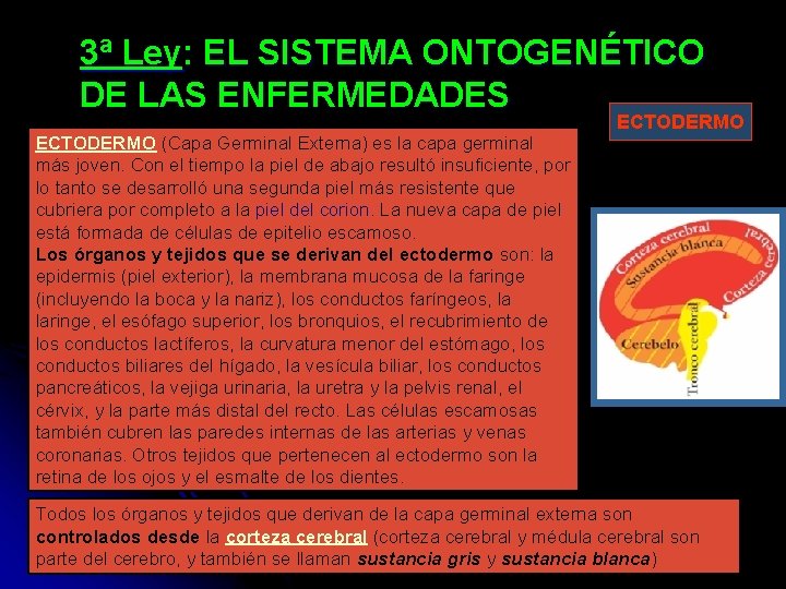 3ª Ley: EL SISTEMA ONTOGENÉTICO DE LAS ENFERMEDADES ECTODERMO (Capa Germinal Externa) es la