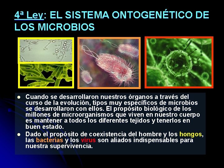 4ª Ley: EL SISTEMA ONTOGENÉTICO DE LOS MICROBIOS l l Cuando se desarrollaron nuestros